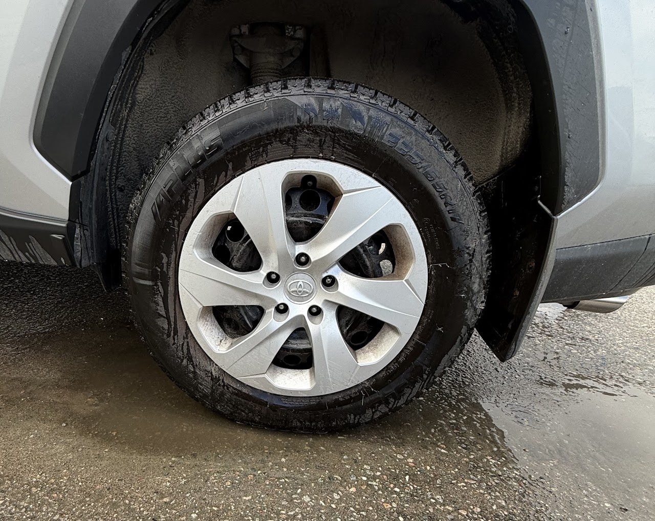 2025 Toyota RAV4 — photo 46 of 47