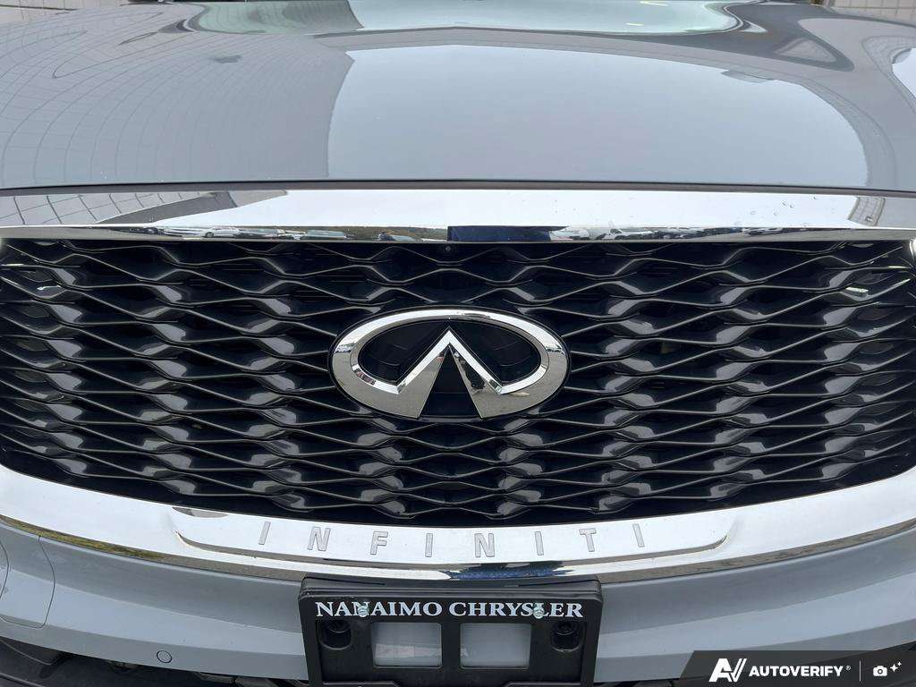 2025 Infiniti QX60 — photo 10 of 25