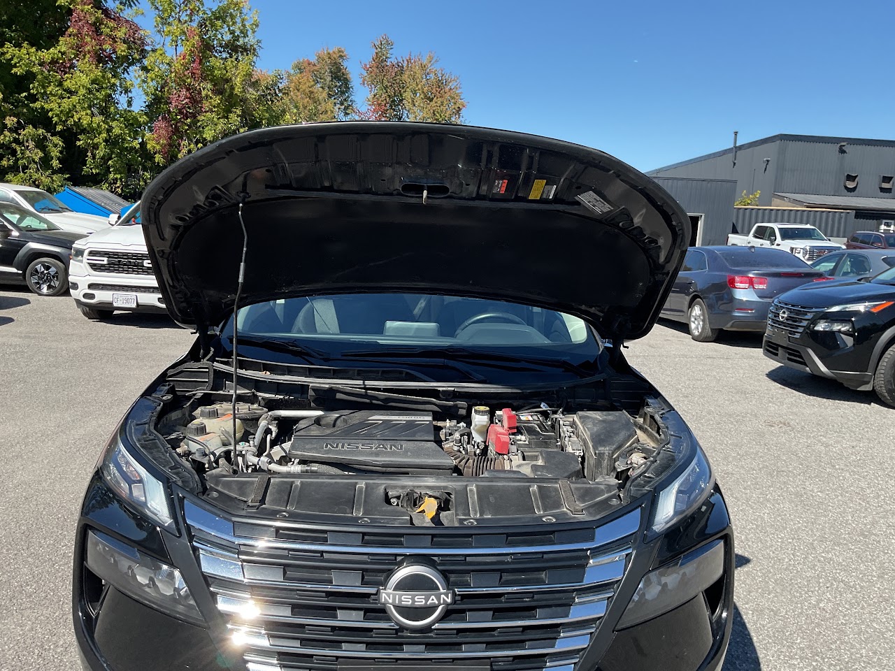 2025 Nissan Rogue — photo 31 of 34