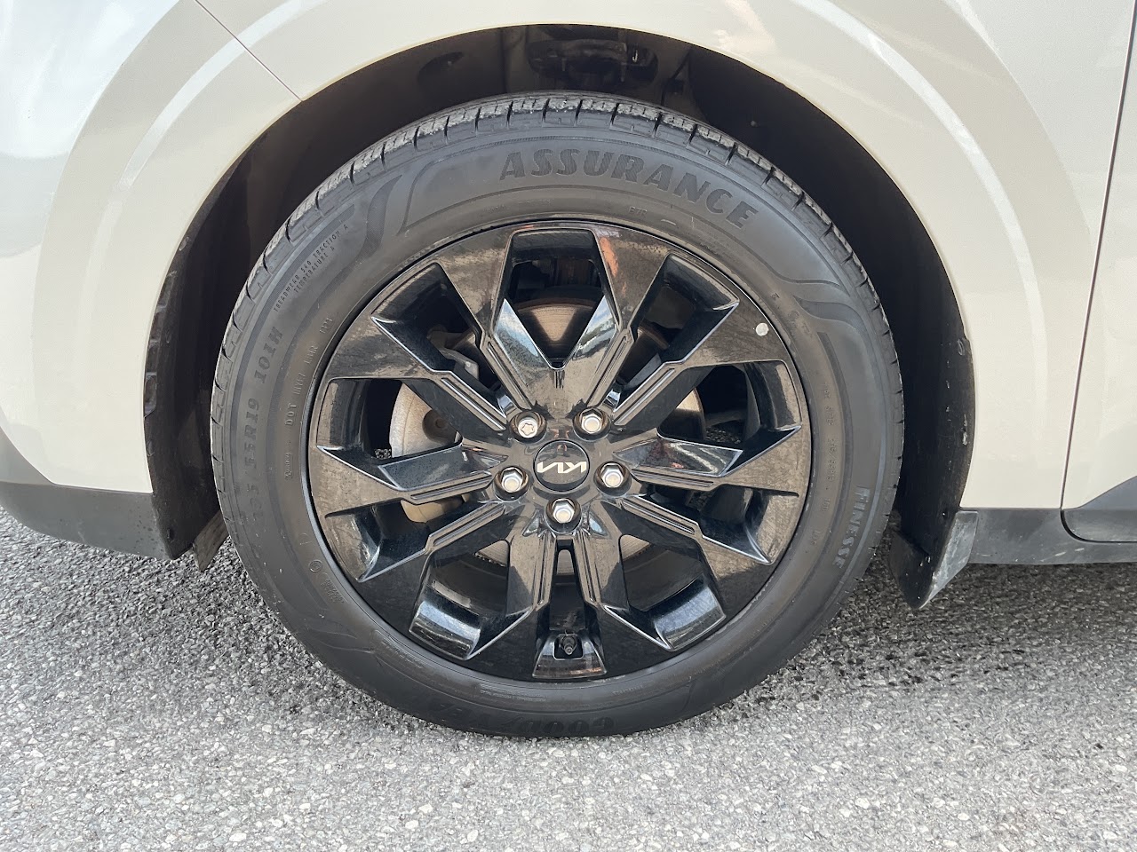2024 Kia Carnival — photo 11 of 34