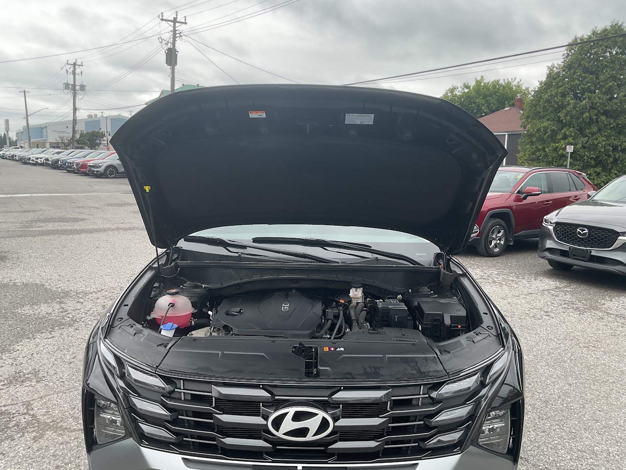 2025 Hyundai Tucson — photo 22 of 34