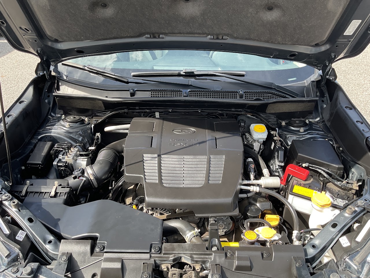 2024 Subaru Forester — photo 33 of 34
