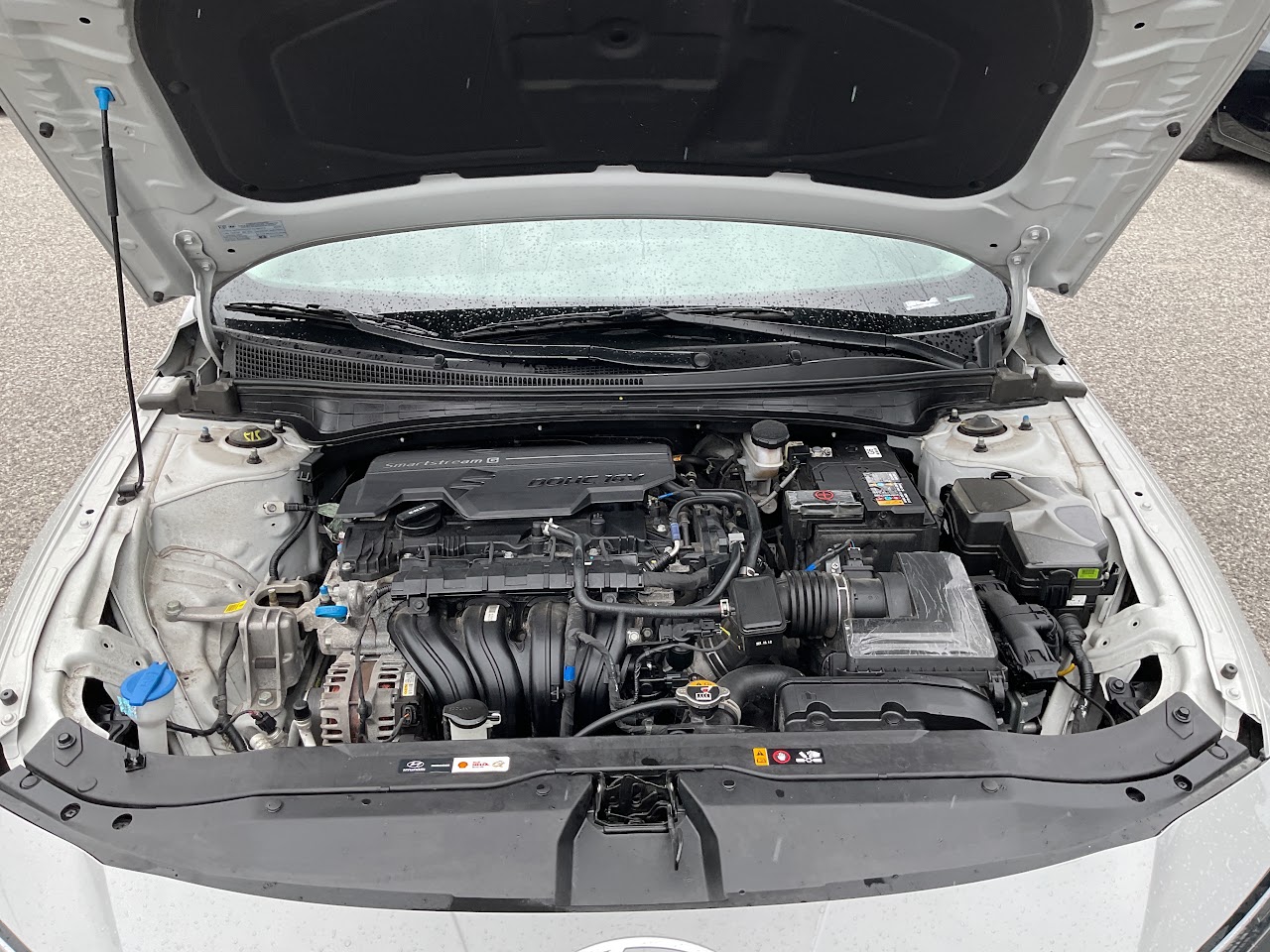 2025 Hyundai Elantra — photo 33 of 34