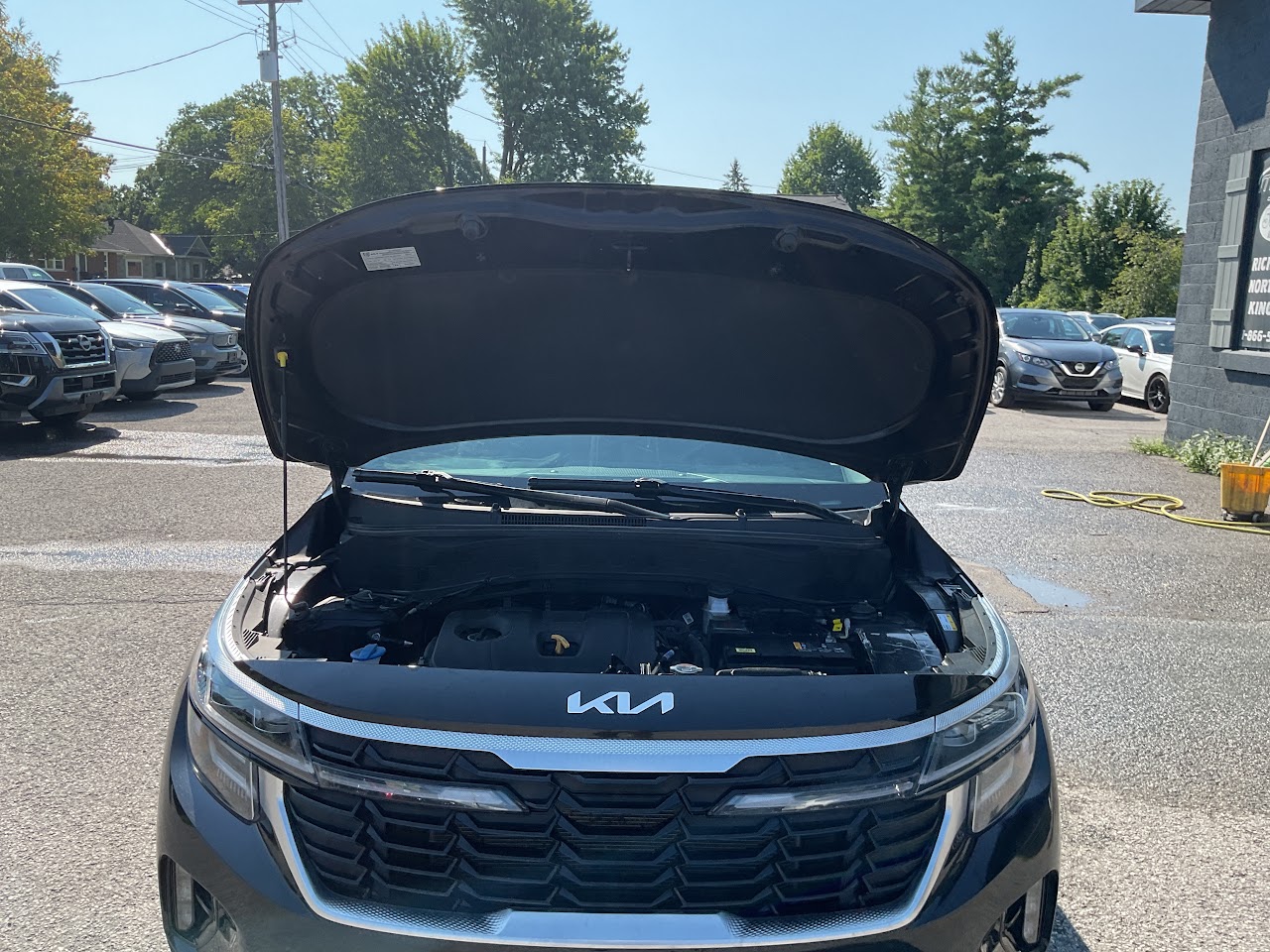 2025 Kia Seltos — photo 22 of 34
