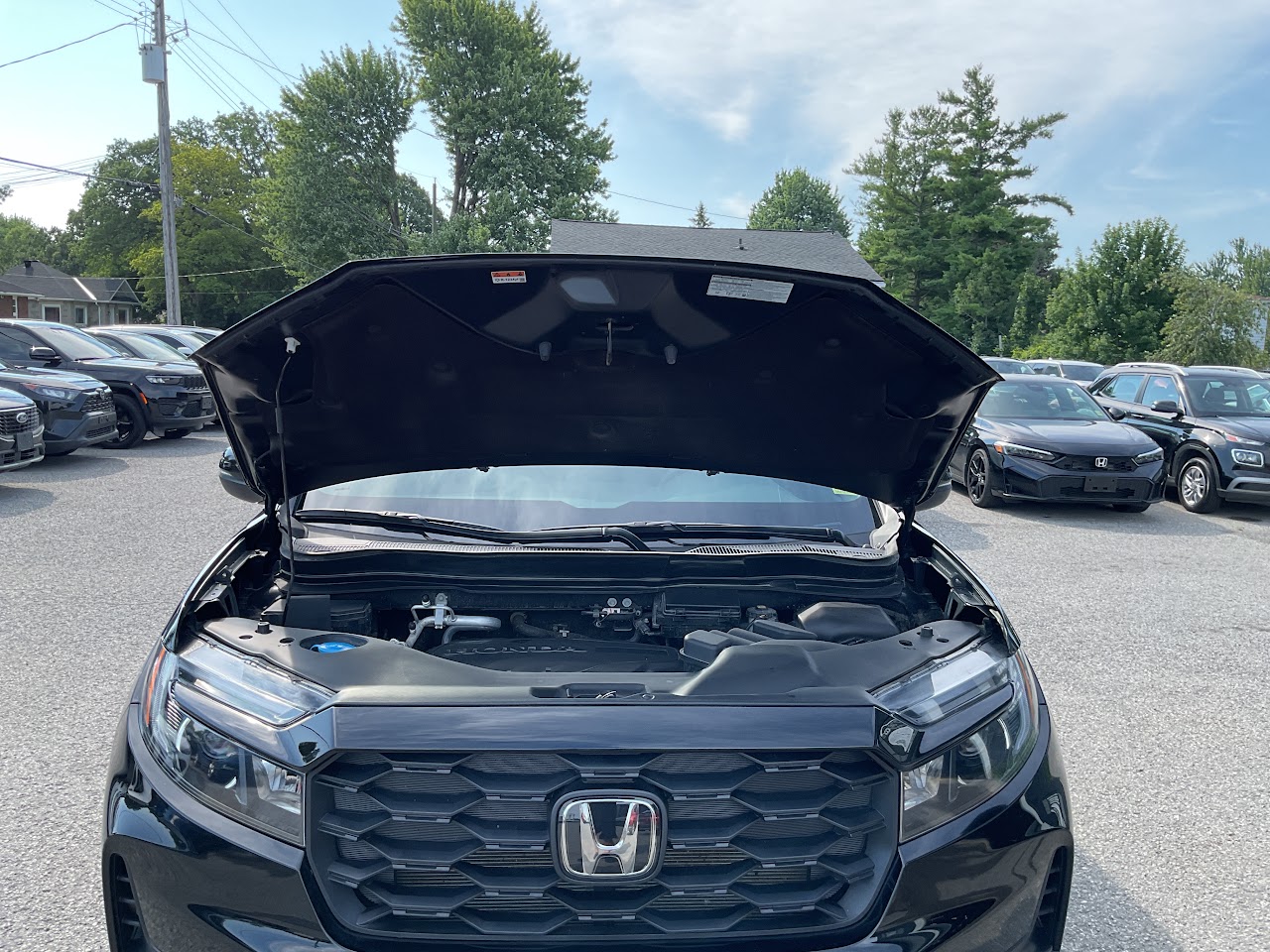 2025 Honda Passport — photo 22 de 32