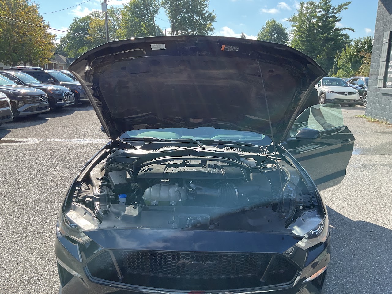 2021 Ford Mustang — photo 28 de 39