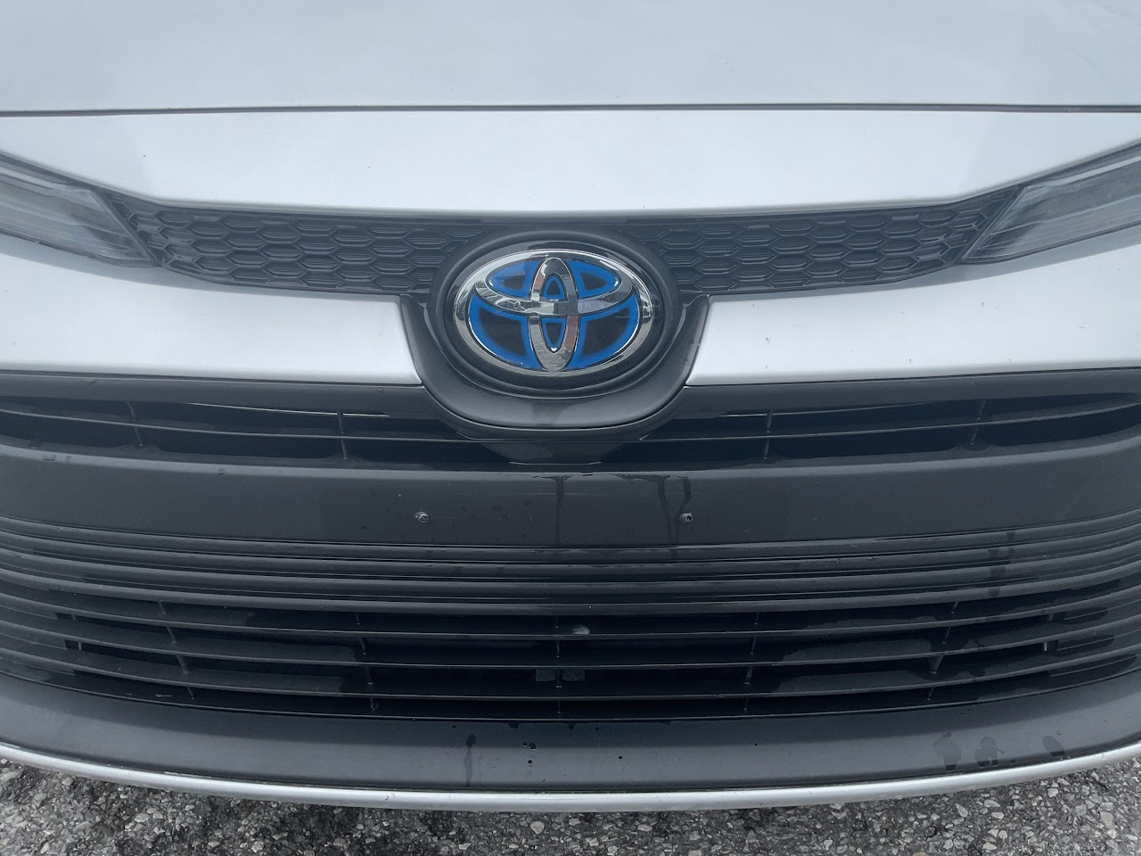 2025 Toyota Corolla — photo 19 of 34