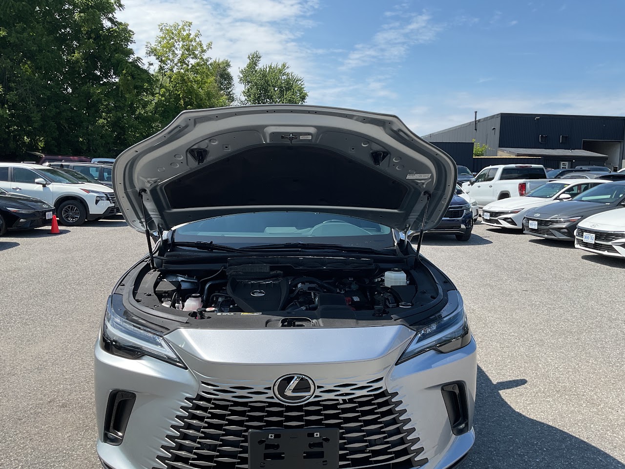 2023 Lexus RX — photo 22 de 34