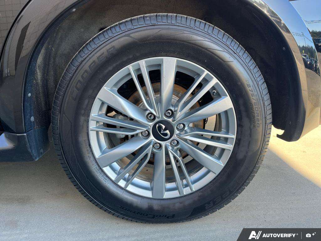 2024 Infiniti QX80 — photo 6 of 25