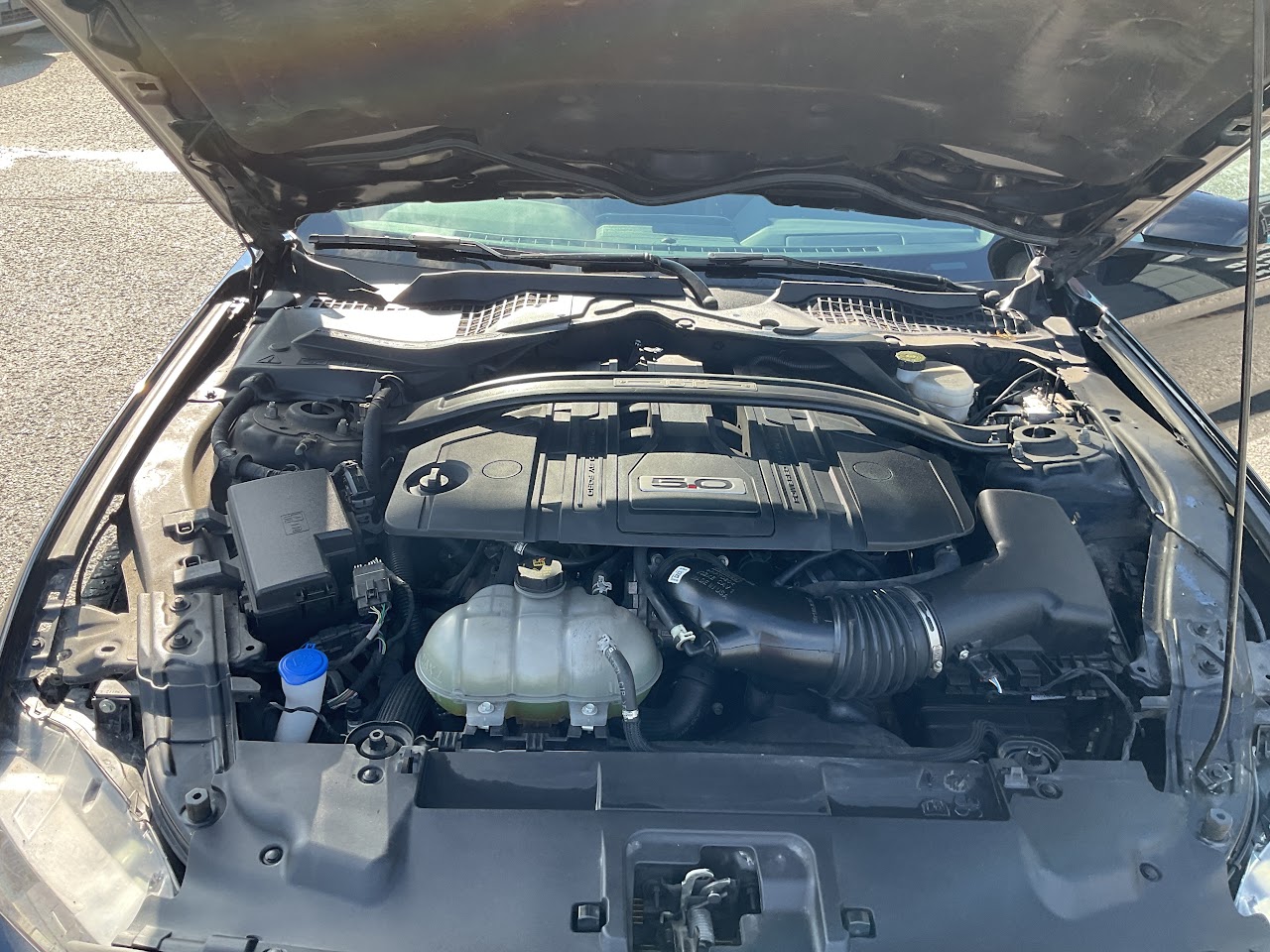 2021 Ford Mustang — photo 38 de 39