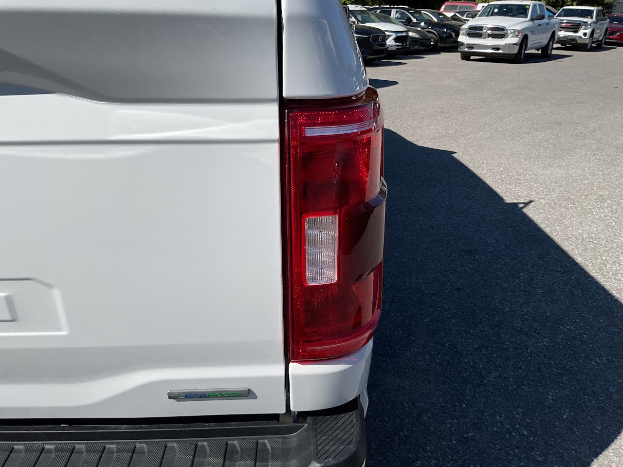 2023 Ford F-150 — photo 24 of 34